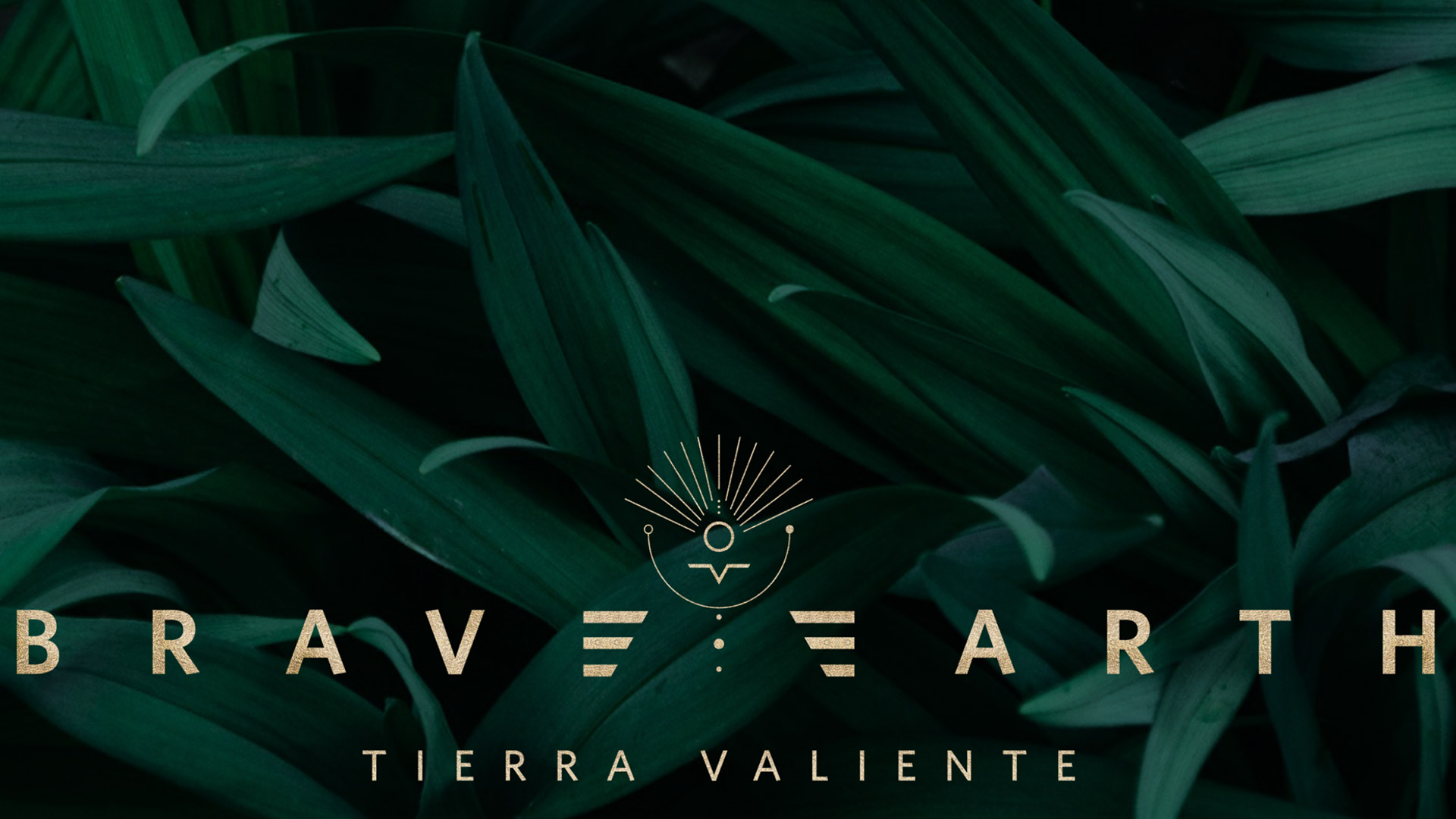Transmisión de Elohim - Sesión de grupo pequeño de La Tierra Valiente (Costa Rica) - 9 de Mayo