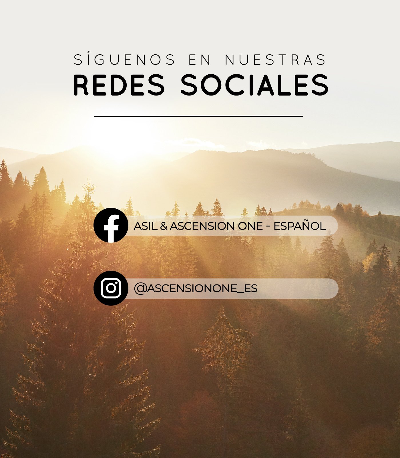 banner redes